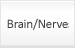 Brain/Nerve