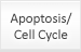 Apoptosis/Cell Cycle