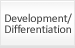 Development/Differentiation