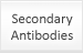 Secondary Antibodies