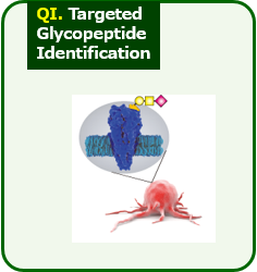 QI. Targeted Glycopeptide