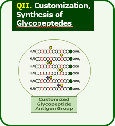 QII. Customization, Synthesis of Glycopeptedes
