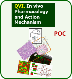 QVI. In vivo Pharmacology and Action Mechanism