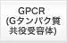 GPCR (Gタンパク質共役受容体)