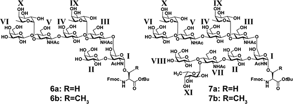 O-結合型糖鎖がセリン（6a or 7a）、あるいはトレオニン（6b or 7b）に結合した糖アミノ酸