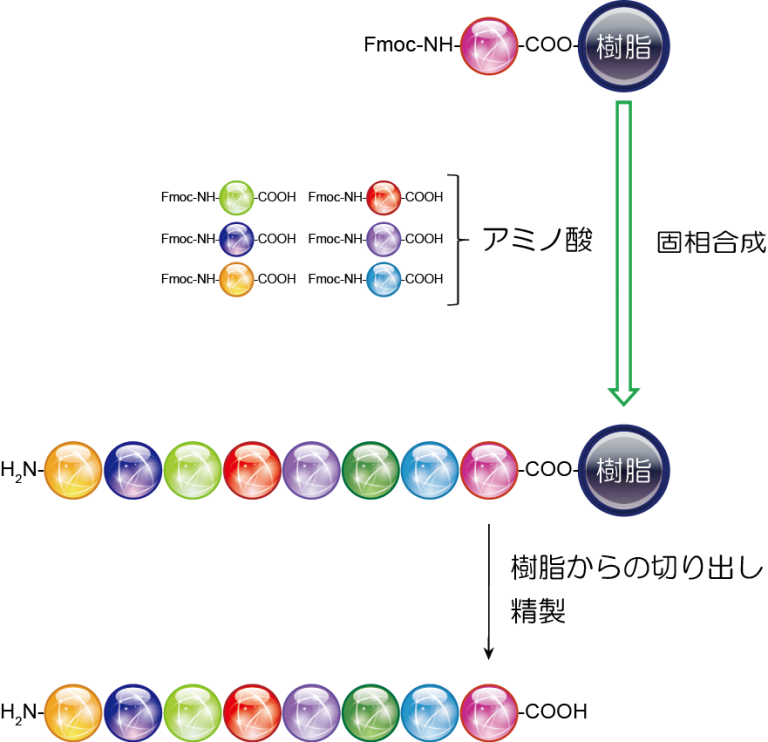 第 12 話　糖鎖、複合糖質の自動合成　～化学合成法を基盤とした糖鎖自動合成