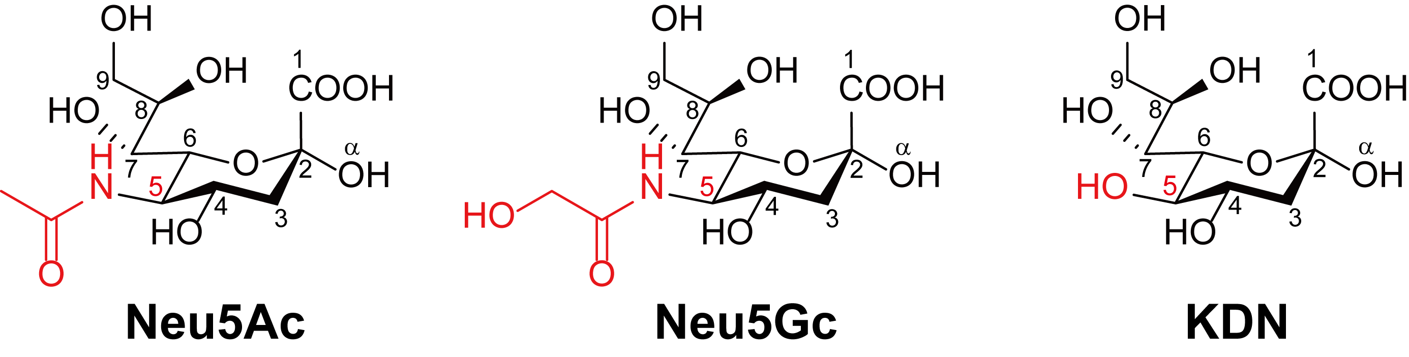第 35 話 シアル酸とは シアル酸の構造 医化学創薬株式会社