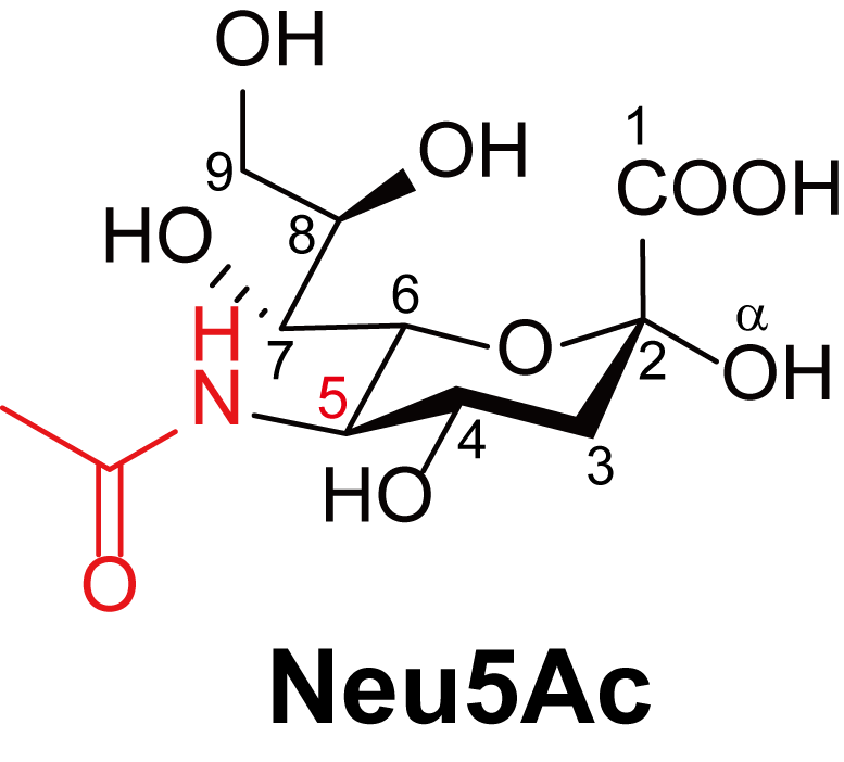 第 35 話 シアル酸とは シアル酸の構造 医化学創薬株式会社