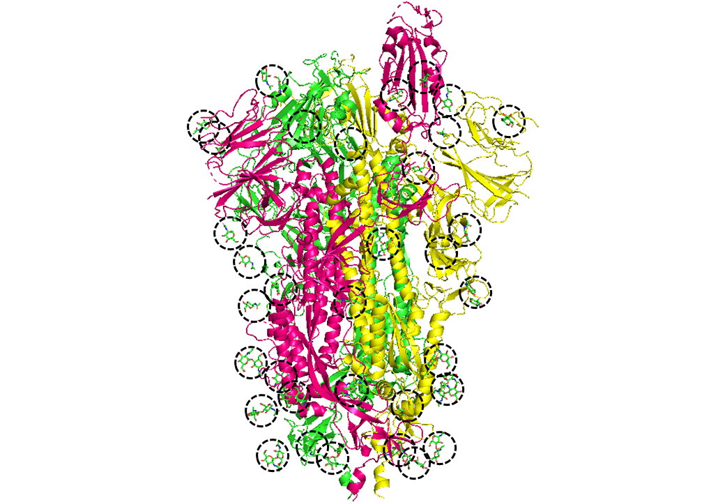 抗sars Cov 2 スパイクタンパク抗体